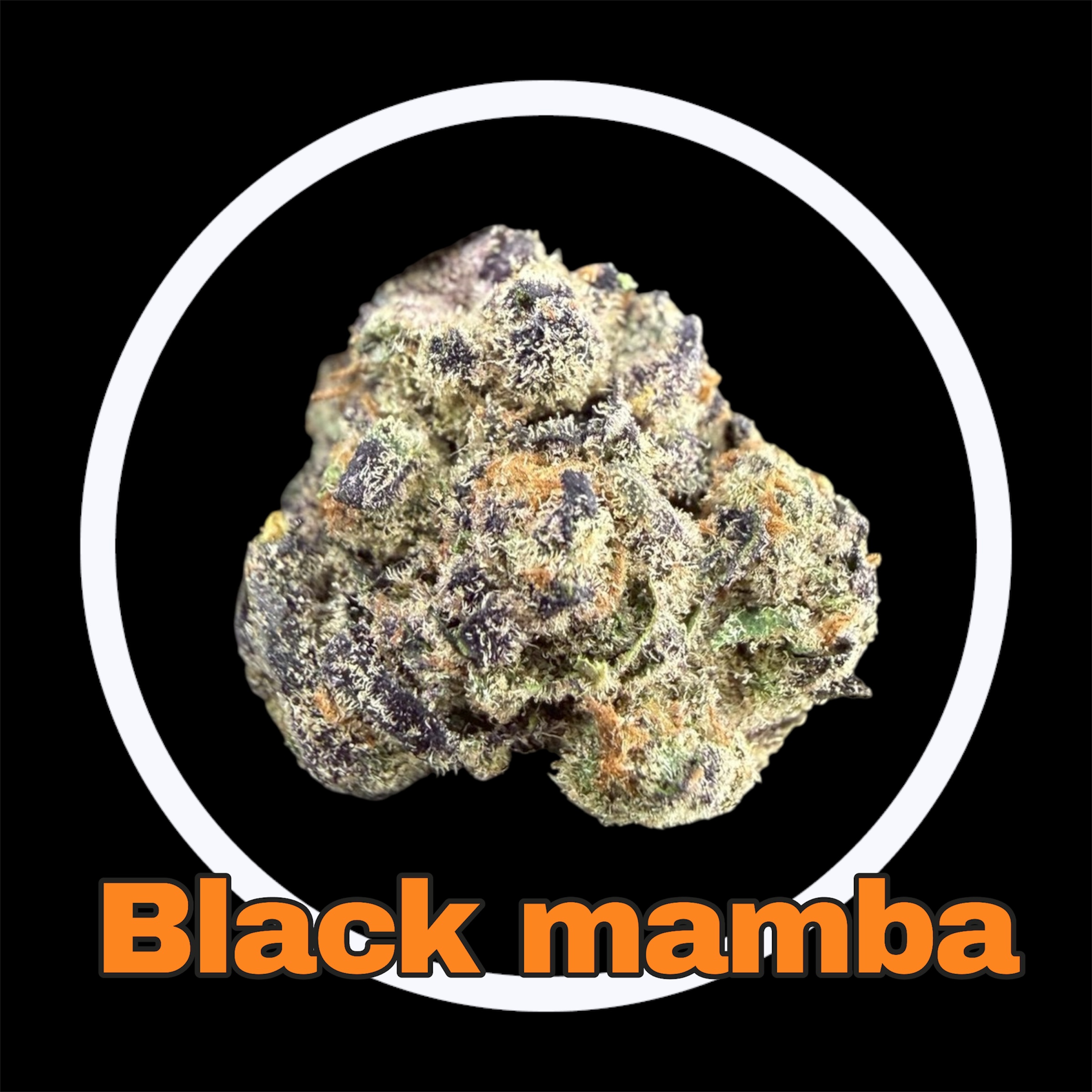 30-03-26 07-07-42pm.jpg